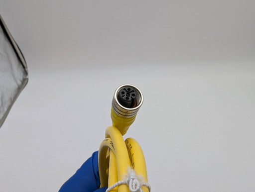 Turck RSM RKM 46-6M/S824 Sensor Cable 7/8" 4 Pin Male to Female 6 Meter 2