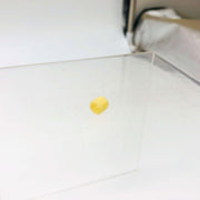 AMC Jeep 3187257 Retainer for Canceling Cam Pin OEM NOS 81-86 CJ 5-8 Scrambler 9