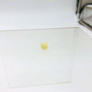 AMC Jeep 3213949 Plug Metering for Vapor Canister OEM NOS 81-86 CJ 5-8 Scrambler 5