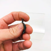 AMC Jeep 4004058 Nut Spring for Interior Trim Parts Door Panel OEM NOS Loose 4