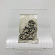 Irwin Hanson 6638 Die 10mm x 1 Hexagon High Carbon Steel 1in Across Flat RH 5pk 6