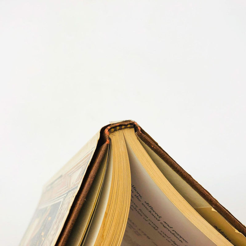 Native Harvests Hardcover Barrie Kavasch 1979 1st Ed/1st Print Botanical Recipes 10