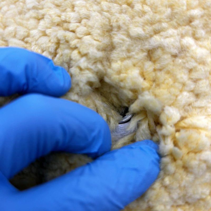 2pk Double Sided Polishing Pad 8" Sngl Ply 1.25" P 5/8-11AH Buff and Shine 802YS