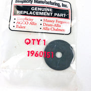Simplicity 1960151 Washer OEM NOS Replaced by 703136 Sealed 4