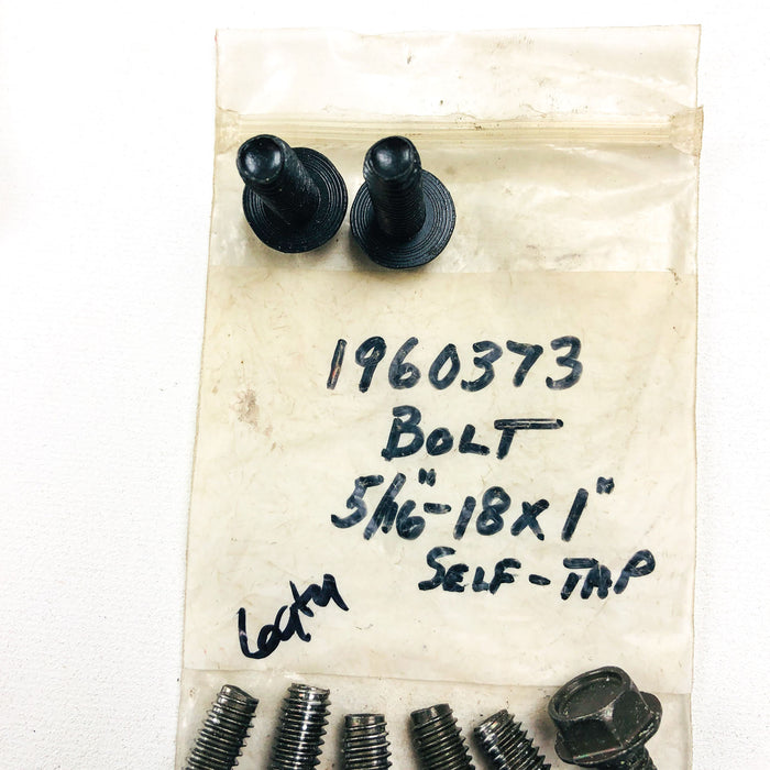 Simplicity 1960373 Hex Screw 5/16-18x1 OEM NOS Replcd 704146 Loose BLK Coated 2