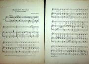 1915 My Bird Of Paradise Sheet Music Irving Berlin Honolulu Girl Blossom Seeley 2