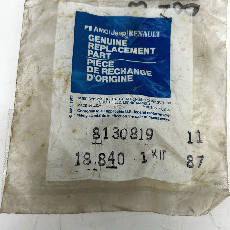 AMC Jeep 8130819 Bearing Package for Gear Train Yoke NPG 208/219/228/229 OEM NOS 2
