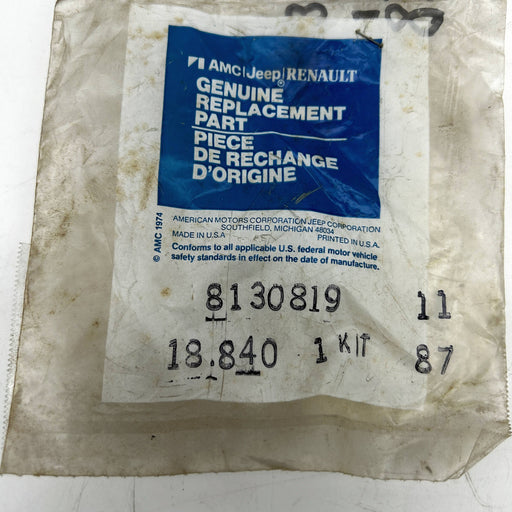 AMC Jeep 8130819 Bearing Package for Gear Train Yoke NPG 208/219/228/229 OEM NOS 2