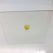 AMC Jeep 3213949 Plug Metering for Vapor Canister OEM NOS 81-86 CJ 5-8 Scrambler 11