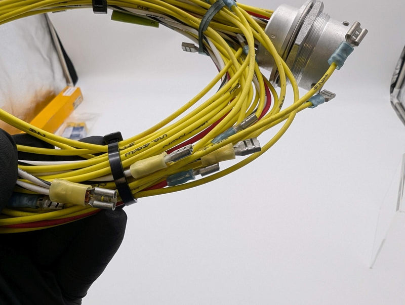 Roadtec 229776-02 Left Hand Body #1 Pigtail Wiring Harness OEM Replacement