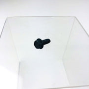 Simplicity 1927429 Screw 1/4-20x.625 OEM NOS Replaced by 703054 Loose 9