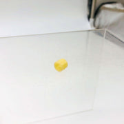 AMC Jeep 3187257 Retainer for Canceling Cam Pin OEM NOS 81-86 CJ 5-8 Scrambler 10