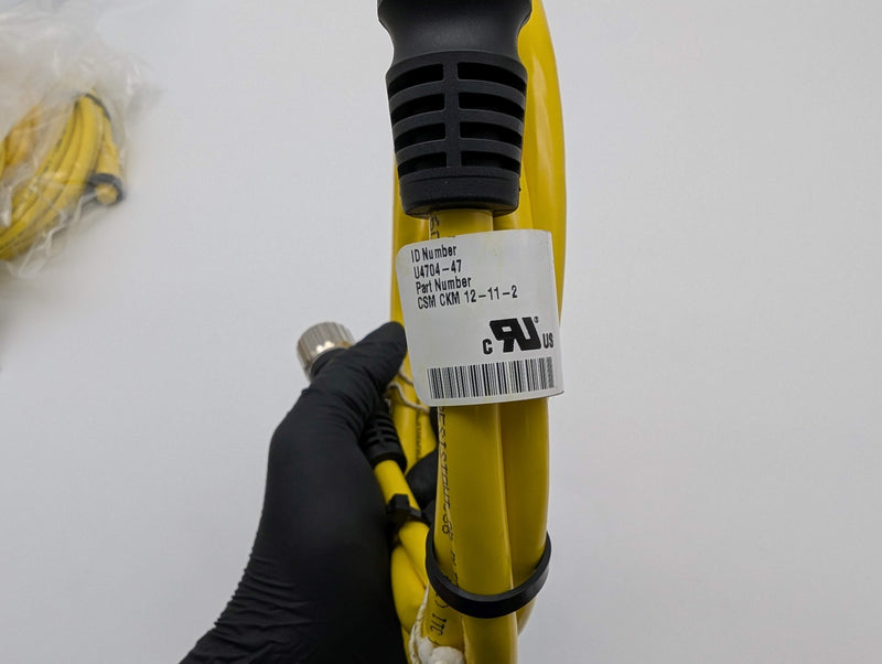 Turck CSM CKM 12-11-2 Actuator & Sensor Cable 12 Pin M to 12 Pin F 2 Meter