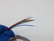 Turck FK 8-0.5 Actuator & Sensor Receptacle Cable 0.5M L M12 Female 8 Pin PG9 3