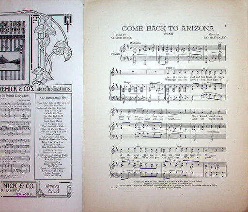 1916 Come Back To Arizona Vintage Sheet Music Large Herman Paley Alfred Bryan 2
