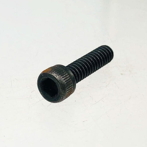 Poulan 507431669 Screw for Chainsaw OEM New Old Stock NOS Loose No Pkg 1