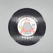 The Doodletown Pipers A Summer Song / Summertime Single Record Epic 1968 PROMO 1