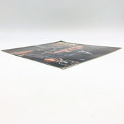 Elvis Presley Legendary Performer Early Years Continued LP Record Insert Only 5