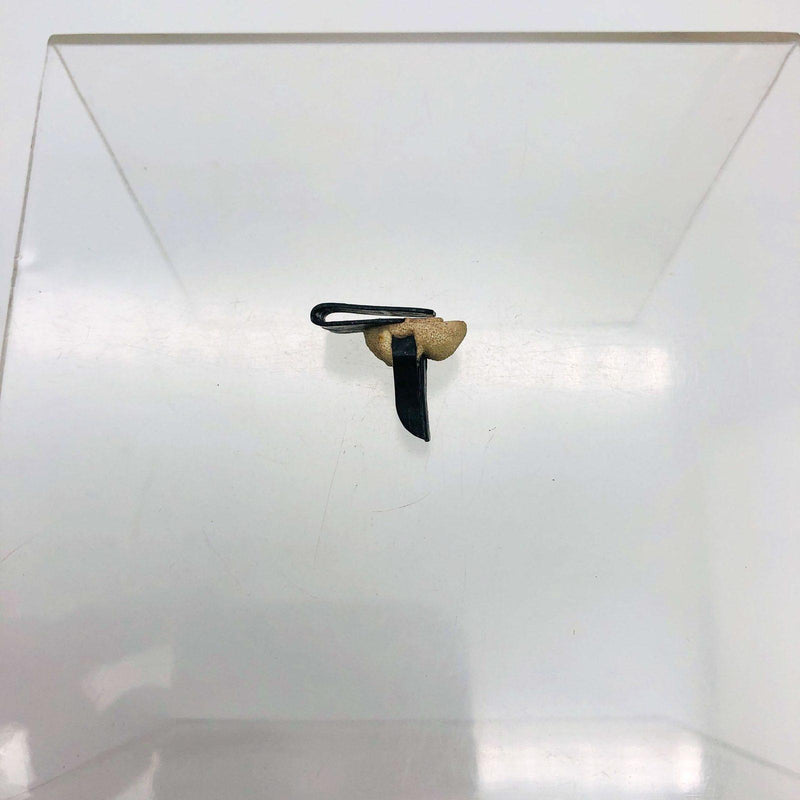 AMC Jeep 4004047 Fastener for Interior Trim Panels 2 Door Wagon Cherokee Black 7