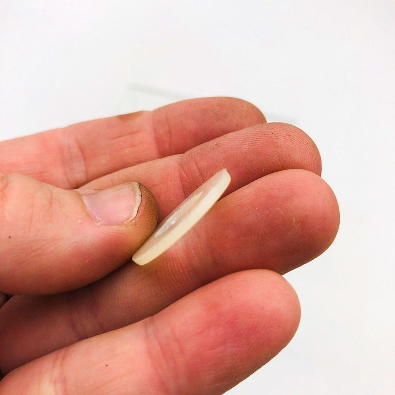 AMC Jeep 4005677 Shim .06 for Front Door Hinges OEM NOS 81-86 CJ 7-8 Loose 3