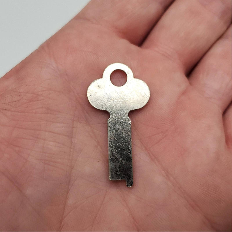 2x Yale S155 Key Blanks 0.05" Thick x 0.3" Wide x 1.55" OAL Flat Steel Steel 2