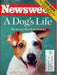 Newsweek Magazine November 1 1993 Marijuana Back Demonization Pop Culture Agrees 1