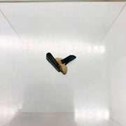 AMC Jeep 4004047 Fastener for Interior Trim Panels 2 Door Wagon Cherokee Black 9