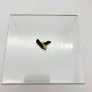 AMC Jeep 4004047 Fastener for Interior Trim Panels 2 Door Wagon Cherokee Black 11