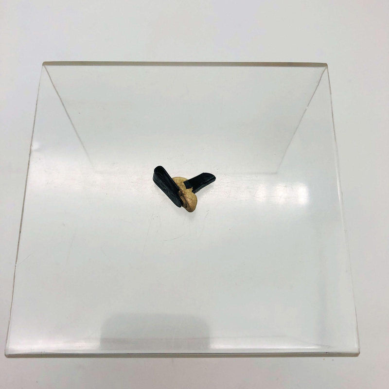 AMC Jeep 4004047 Fastener for Interior Trim Panels 2 Door Wagon Cherokee Black 11