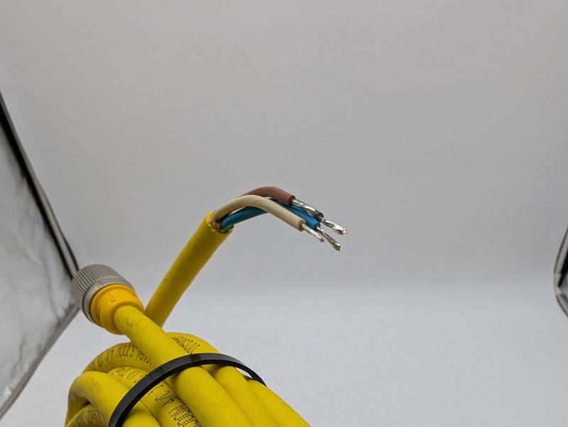 Turck RKG 4.4T-6/S600 Sensor Cable 4 Pin Female to Bare 6 Meter 3