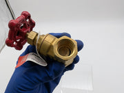 ProLine 1/2" Gate Valve FNPT x FNPT 200 PSI 6TWJ8 Brass 5