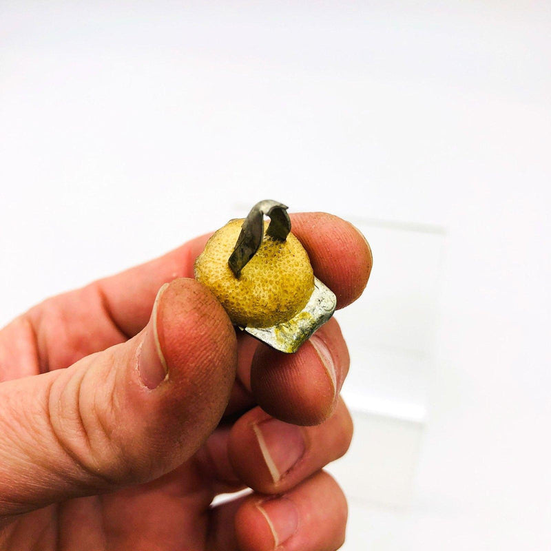 AMC Jeep 4004047 Fastener for Interior Trim Panels 2 Door Wagon Cherokee Silver 5