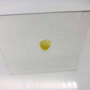 AMC Jeep 3213949 Plug Metering for Vapor Canister OEM NOS 81-86 CJ 5-8 Scrambler 12