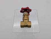 ProLine 1/2" Gate Valve FNPT x FNPT 200 PSI 6TWJ8 Brass 2