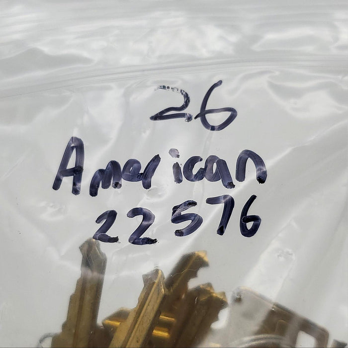 American Lock AK5 Cut Keys 22576 2 Pack for APTC12 Cylinders 5 Pin Brass 5