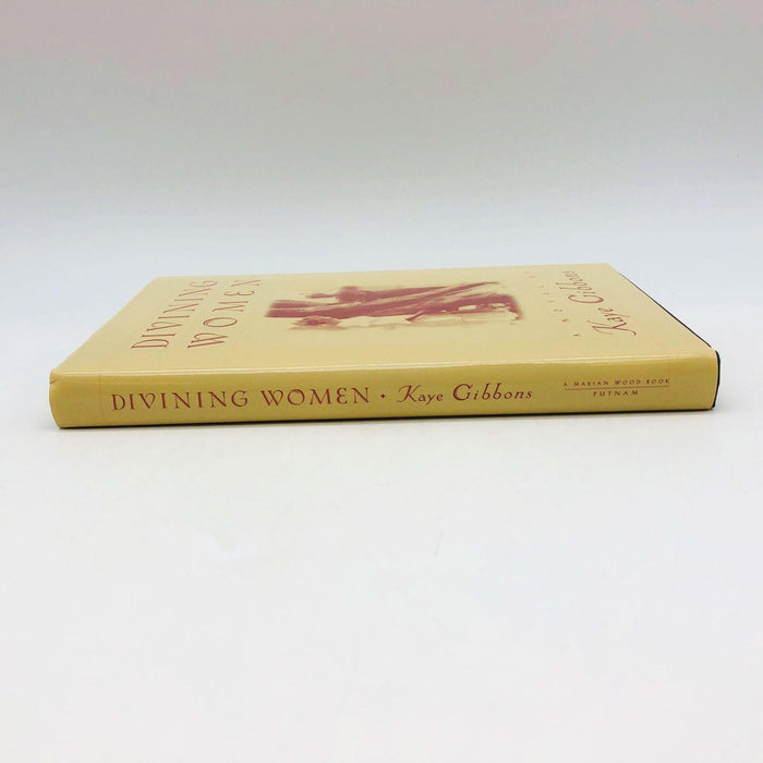 Divining Women Kaye Gibbons Hardcover 2004 Domestic Abuse Wife Marriage 3