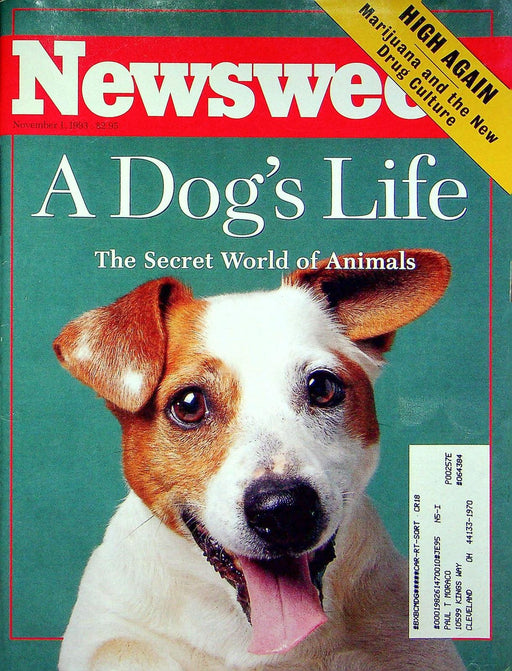 Newsweek Magazine November 1 1993 Marijuana Back Demonization Pop Culture Agrees 2