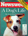 Newsweek Magazine November 1 1993 Marijuana Back Demonization Pop Culture Agrees 2