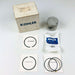 Kohler 4187411S Piston and Piston Ring Set 4110801S OEM NOS Replaces 4187411 1