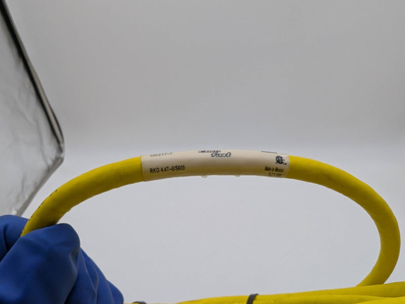 Turck RKG 4.4T-6/S600 Sensor Cable 4 Pin Female to Bare 6 Meter 4