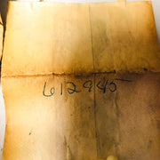 Lawn-Boy 612945 Grease Fitting Plastic OEM New Old Stock NOS Loose No Pkg 2