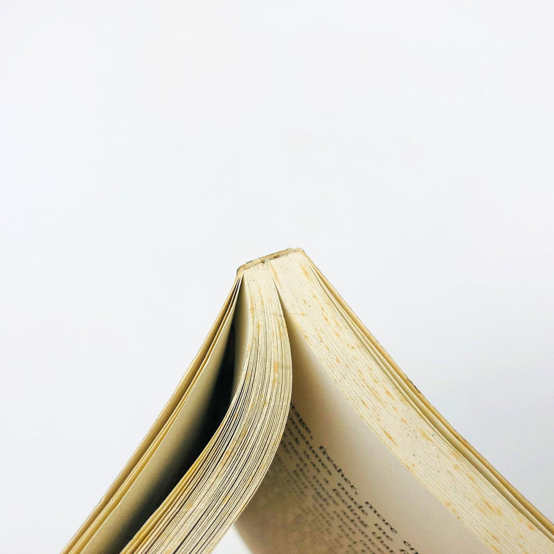 Suicide Blonde Darcey Steinke Paperback 1992 Sexual Psychological Odyssey 1960s 9