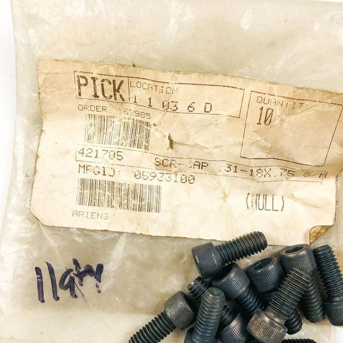 Ariens Gravely 05933100 Cap Screw .31-18x.75 OEM NOS Replaces 421705 Loose 2