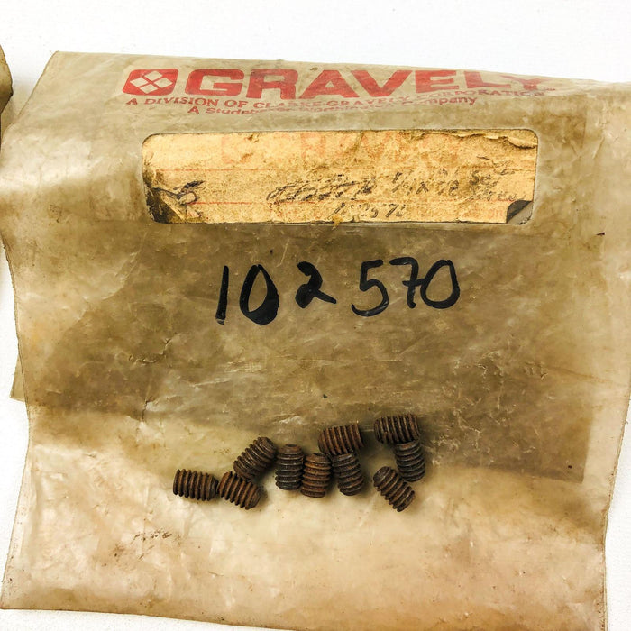 Ariens Gravely 102570 Set Screw .25-20x.38 SK OEM NOS Replaced by 06000800 2