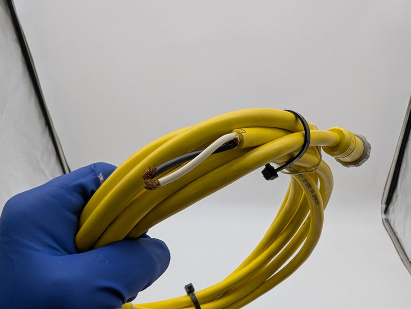 Woodhead 102000A01F1202 Quick Connect Cable 2 Pin Female to Bare 12 Feet 3