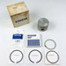 Kohler 4787407 Piston and Piston Ring Set 4810801 OEM NOS Replaced 4787407S Cp2 1