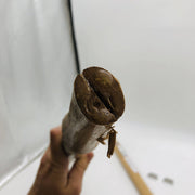 2x Council Tool 70-025 Replacement Handle Hickory 36in Sledge Replaced 70-36SL-B 4