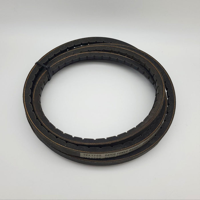 Dayco 5VX1700 Cogged Belt 5/8" Width 170" Length 5VX Section 2