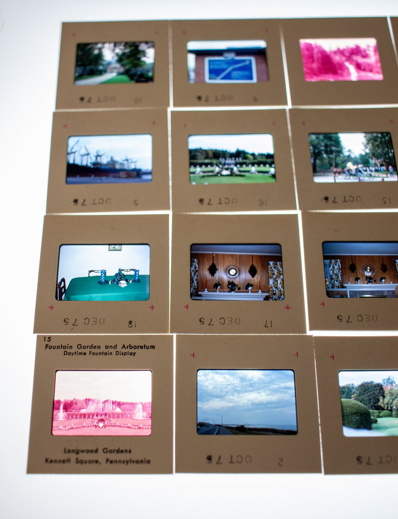 Vintage 35mm Photo Transparency Slides - Longwood Garden 1975 | Lot of 60