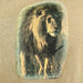 Vintage Zoo Tshirt The Wilds Ohio African Lion Tan Animal SZ XL Softee Tee Jays 4